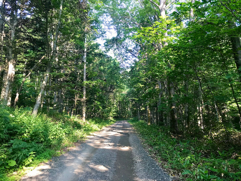 Road to Lake Saroma in Hokkaido