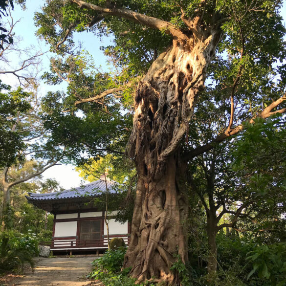 Daihoji Temple in Fukue Island, Nagasaki