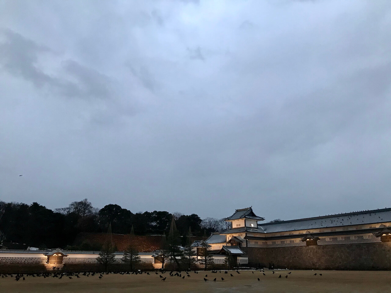 Crows in Kanazawa Castle Park