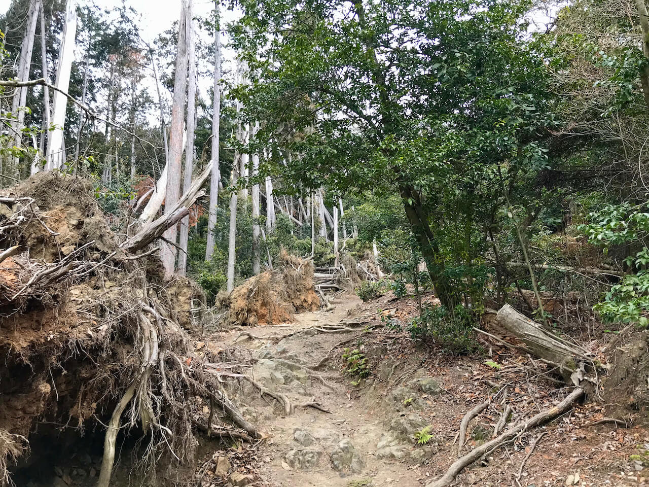 Mount Daimonji Trail in Kyoto