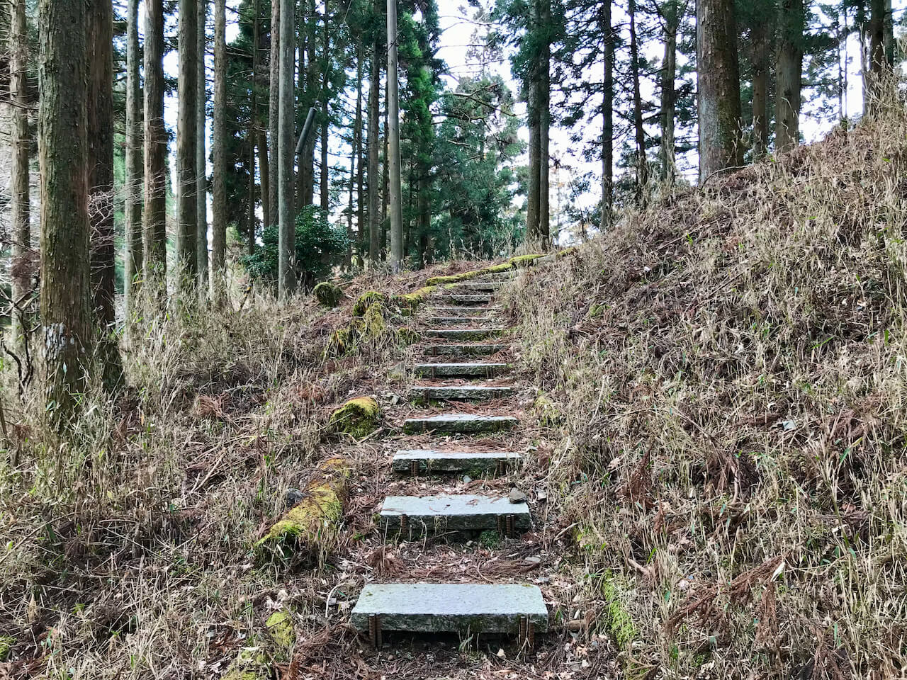 Mount Hiei Trail in Shiga