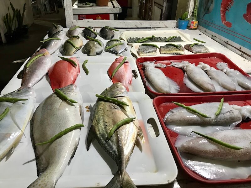 Fresh fish from Moalboal, Cebu Island